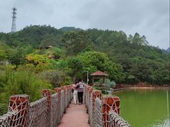 -广州白江湖森林公园