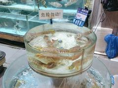 -强记海鲜·大排档(蛇口新街店)