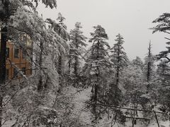 -峨眉山风景名胜区