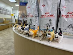 -美联众合动物医院·24h转诊中心
