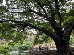 -晓港公园