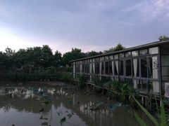 -陶缘一号·四季缘·老字号顺德菜·户外婚礼家宴(西滘店)