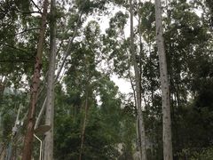 -火炉山森林公园