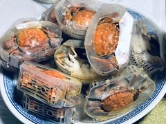 -张鸟园农家乐(张鸟园店)