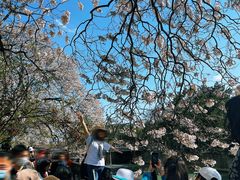 -红星桥(地铁站)