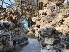 -北京动物园-畅观楼