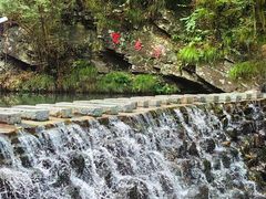 -石台牯牛降景区
