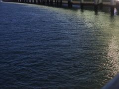 -演武大桥观景平台