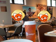 -Wagas沃歌斯(北京君太百货店)