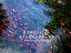 -水磨沟公园