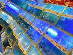 -黄记大闸蟹专卖店·活蟹·醉蟹