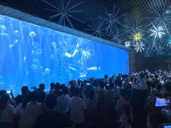 -华夏文旅海洋公园