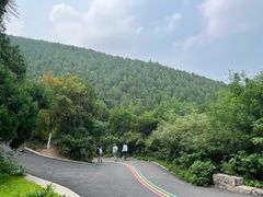 -佛慧山