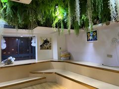 -Husky Go! 哈士奇体验馆·宠物咖啡厅狗咖