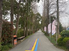 -上海长兴岛郊野公园