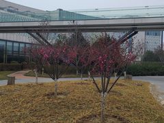 -北京园博大酒店