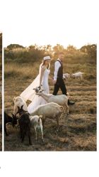 -花漾摄影优选工作室(东莞原创作品店)