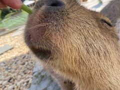 -郑州银基黄帝宫御温泉