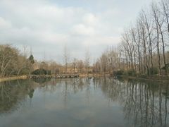 -溱湖国家湿地公园