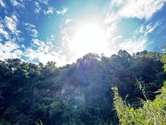 -武吉知马自然保护区