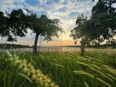 -南沙十九涌渔人码头-南门