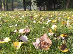 -北坞公园
