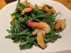 丝瓜尖拌蚌仔-新海渔港·胶东海鲜家常菜·家宴(奥体中心店)