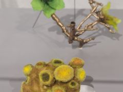 -中国美术学院象山校区-民艺博物馆