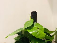 -集贤门·徽菜(福田店)