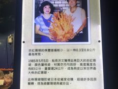 -绮丽珊瑚博物馆(台东店)
