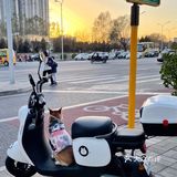 【太阳宫安馨花园】不用去郊区也有大草地