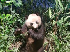 -陕西自然博物馆