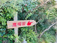 -周口店坡峰岭风景区