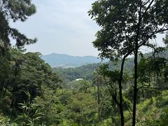 -火炉山森林公园