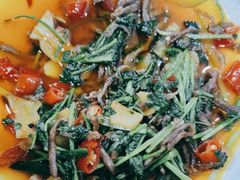 -罗氏豆花饭庄·川菜·土火锅·豆花(卡都花苑店)