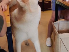 -餐酒吧Com-ing Bar(上海路店)