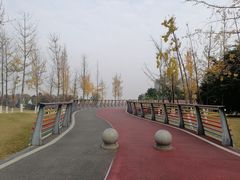 -府河摄影公园