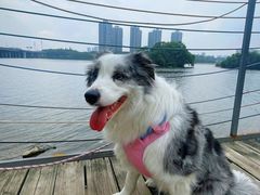 -长白岛森林公园