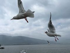 -海埂大坝
