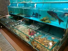 -顺德佬华侨城店·商务宴请·团建