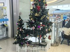 -贝乐少儿英语·全外教(滨江中心)