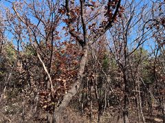-沈阳辉山风景区