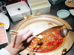 -熊喵来了火锅(四平万达第56分店)