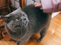 -Rabbit Cafe私房西餐甜点咖啡(栖霞路店)