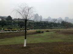 -沐仙湖湿地公园