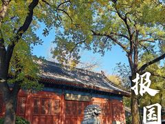 -报国寺