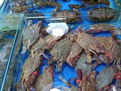 -王四营海鲜市场