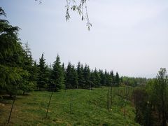 -洨河生态公园