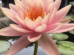 -成都杜甫草堂博物馆