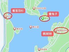 -顺峰山公园